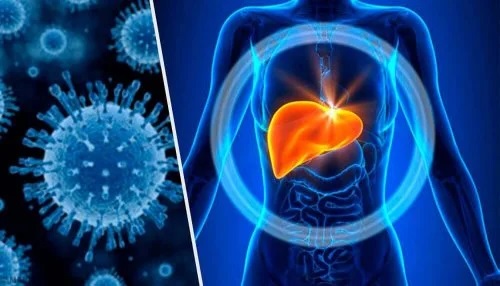 Hepatita toxică