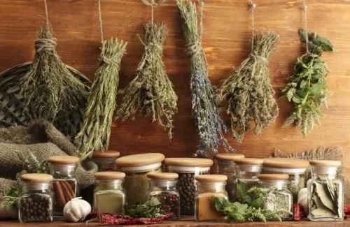 Ierburi aromatice și condimente