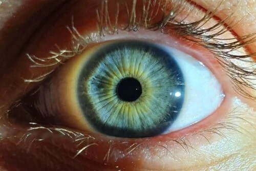 Pupila ochiului uman