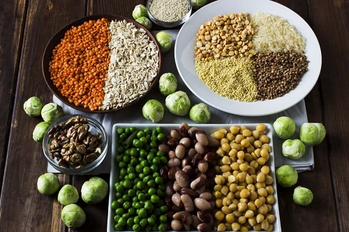 Surse vegetale de proteine
