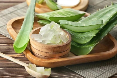 Tratamentul aftei la copii cu aloe vera