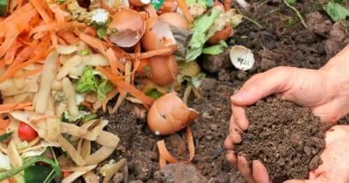 Ai grijă de mediu reciclând produsele alimentare