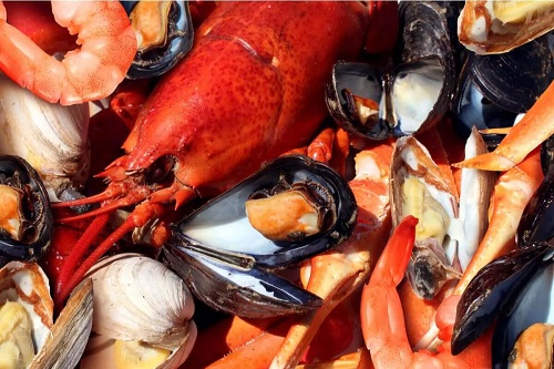 Diverse tipuri de fructe de mare