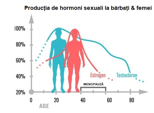 Care este funcția hormonilor sexuali?