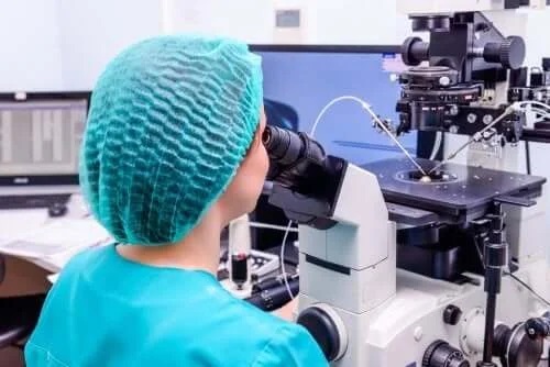 Medic care se ocupă de fertilizarea in vitro