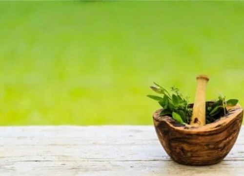 Mojar cu plante medicinale