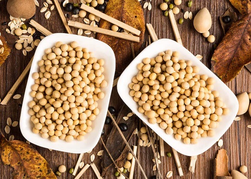 Proteina de soia: bună sau rea pentru sănătate?