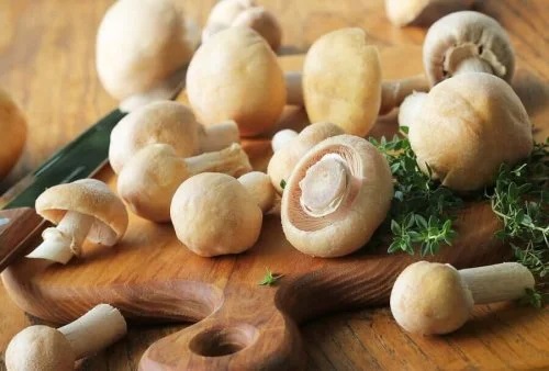 Rețete cu ciuperci pentru dietă