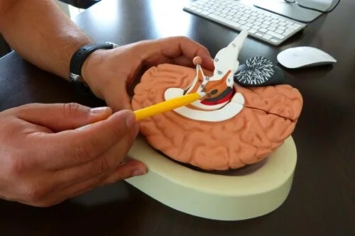 Acupunctura urechii pentru boala Parkinson