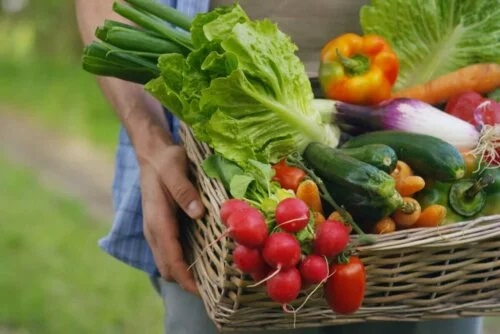 Legumele sunt alimente sărace în sodiu