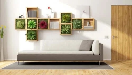 Living decorat cu plante