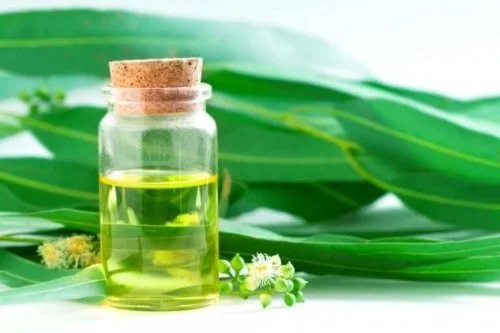 Soluții naturale de alungat țânțarii cu uleiuri esențiale
