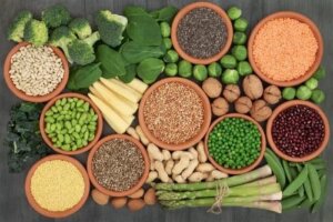 Alternative la proteinele animale în dietă