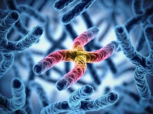Cauzele discromatopsiei sunt genetice