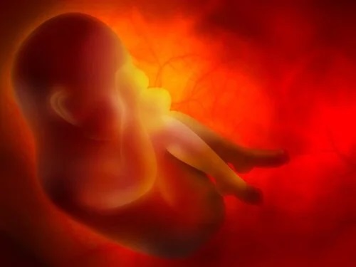 Fetus in fetu înseamnă geamăn parazit