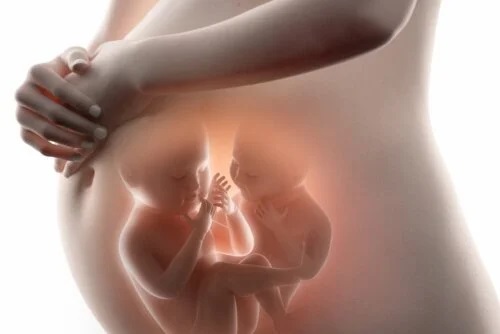 Ce trebuie să știi despre fetus in fetu (gemenii paraziți)