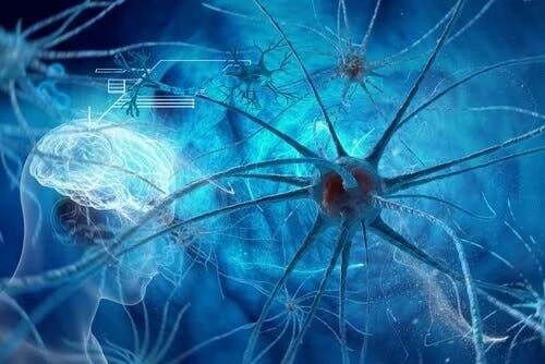 Rețea de neuroni