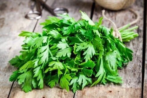 Pătrunjel verde