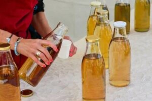 Caracteristici și riscuri ale ceaiului Kombucha