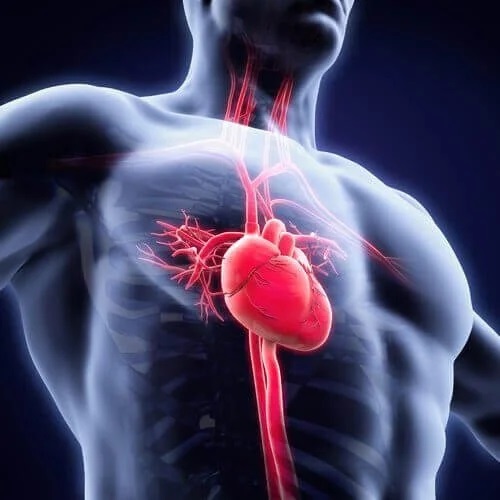 Astenia neurocrculatorie la oameni