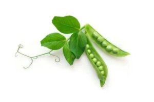 Informații nutriționale și beneficiile mazării