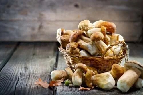 Ciupercile pot fi consumate în dieta pentru hiperuricemie