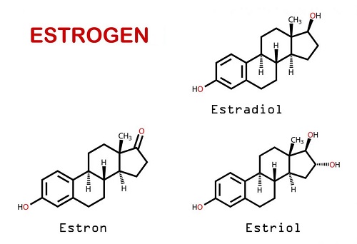 Tipuri de estrogen