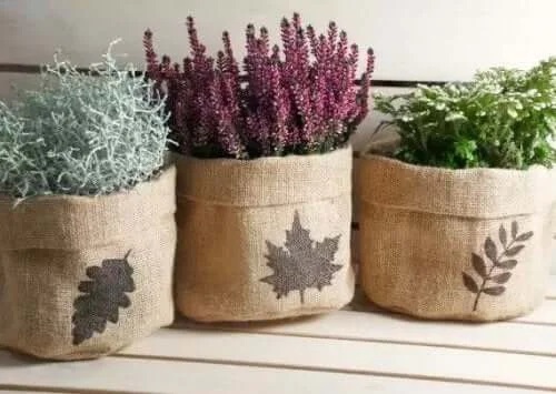 Plante în ghivece de pânză