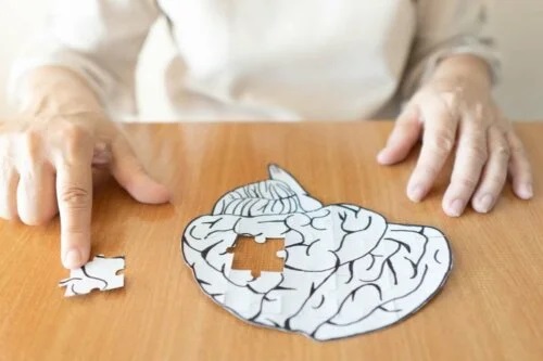 Puzzle cu creierul uman