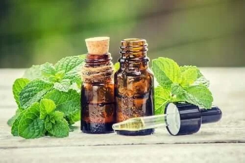 Tratament cu rozmarin și urzică pentru păr