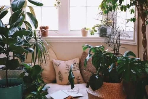 Idei pentru crearea unui colț de relaxare acasă