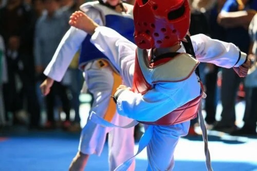 Diferențele dintre Karate și Taekwondo