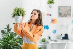 Cum să faci o jardinieră suspendată
