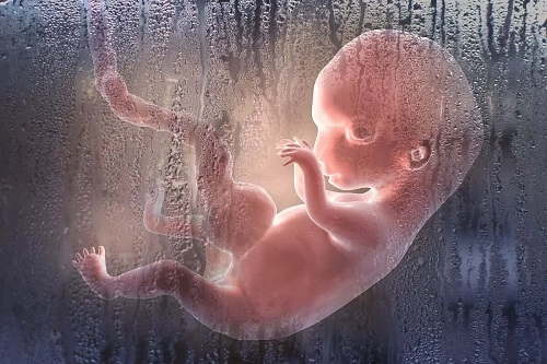 Fetus în uter