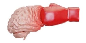 Ce sunt leziunile cerebrale traumatice?