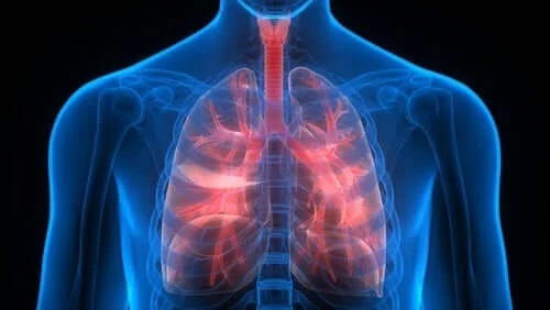 Nevoia de a folosi tratamentul tromboembolismului pulmonar