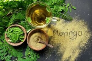 Caracteristicile și utilizările uleiului de Moringa