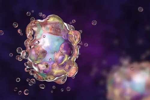 Procesul de apoptoză