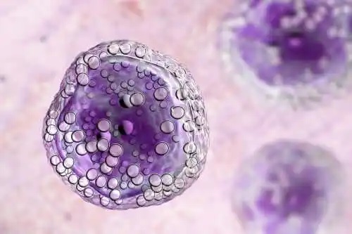 Asemănări între apoptoză și necroză