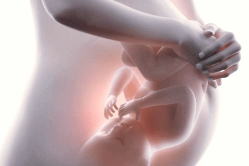 Copil în uter