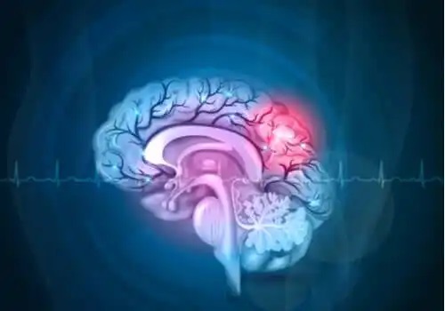 Creier reprezentat grafic