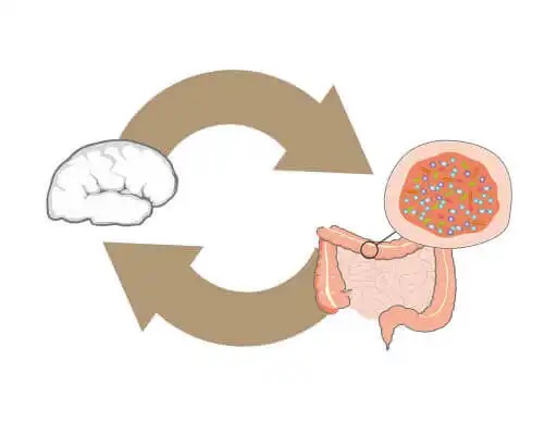 Legătura dintre bacteriile benefice și obezitatea morbidă