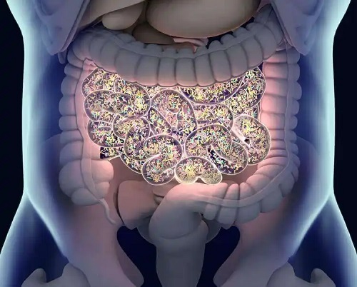Microbiota umană