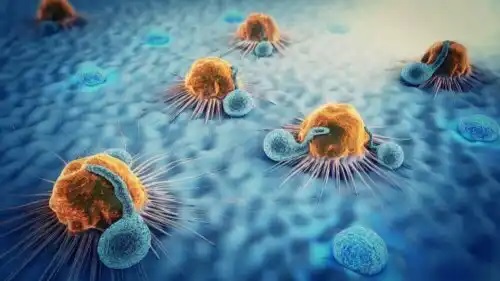 Originea metastazei canceroase în corpul uman