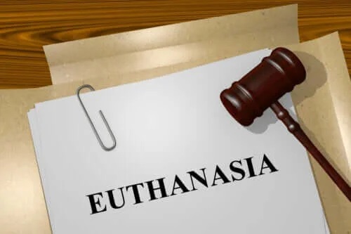 Care sunt tipurile de eutanasie?