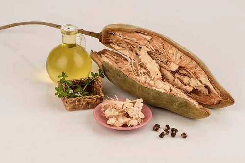 Beneficiile fructului de baobab