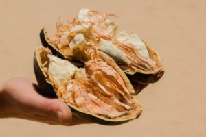 Beneficiile fructului de baobab sau pâinea maimuțelor