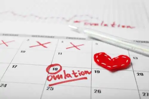 Calendar de ovulație