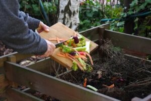 3 greșeli obișnuite atunci când faci compost de casă
