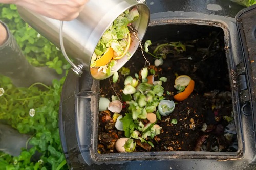 Lasă cu compost de casă